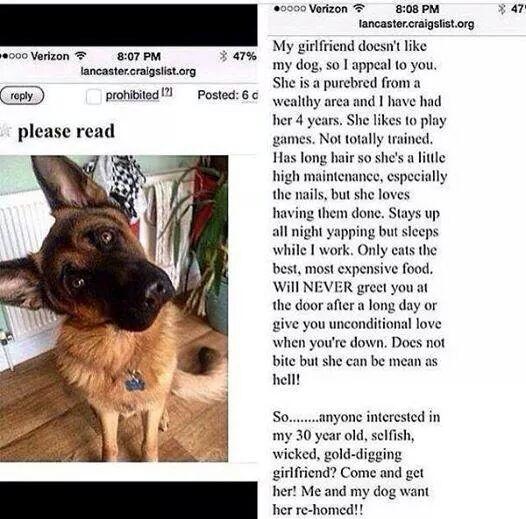 ricky lee's air conditioned dog houses