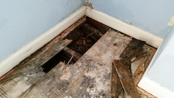 TrustGuard Damp tweet media