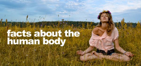 youcanbhealthy's tweet image. All of the bacteria in our body collectively weighs about 4 pounds.