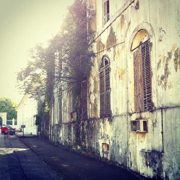 cano_Mau_'s tweet image. #Cayenne #Guyane #домашниерастения #полейцветы by spaceboa