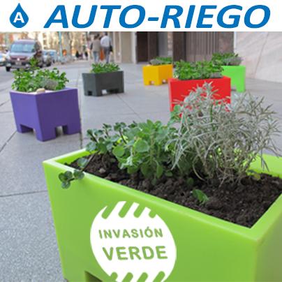invasionverdeAR's tweet photo. #invasionverde #huertasurbanas #autoriego #plantas #felices http://t.co/9j9fzG7Fr8
