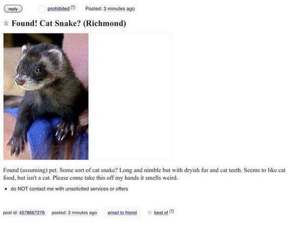 AllAllfun's tweet image. Anyone lost a cat snake?