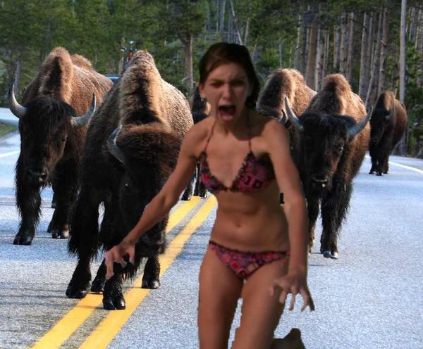 <a href="/carolineee_rob/">caroline</a> WATCH OUT CAROL