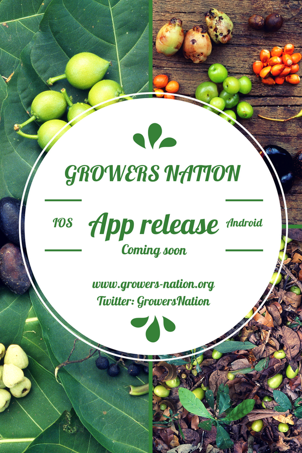 GrowersNation's tweet photo. What can I grow where I live? Growers Nation app release coming soon! More info: http://t.co/8Bv0WR3Roh http://t.co/vGBUP8Zf3T