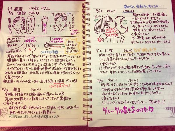 マタニティダイアリー マタニティダイアリー