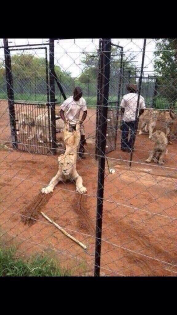 Golfer Swag tweet media