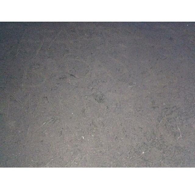 Went to the beach and put "Happy Birthday Mark Salling" all over the place! 