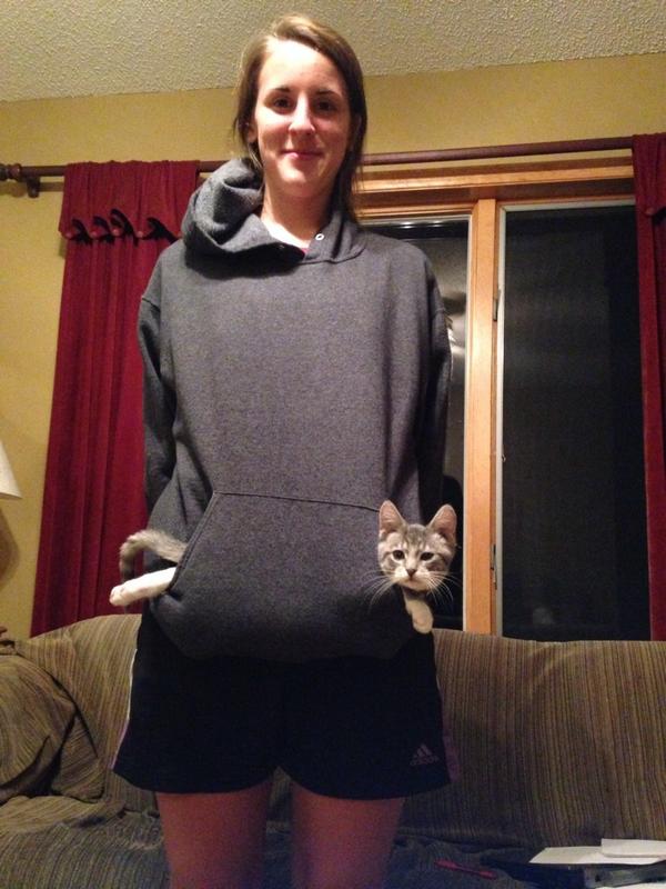 KT_sadie's tweet photo. 🐈 http://t.co/TrgnQlL7AC