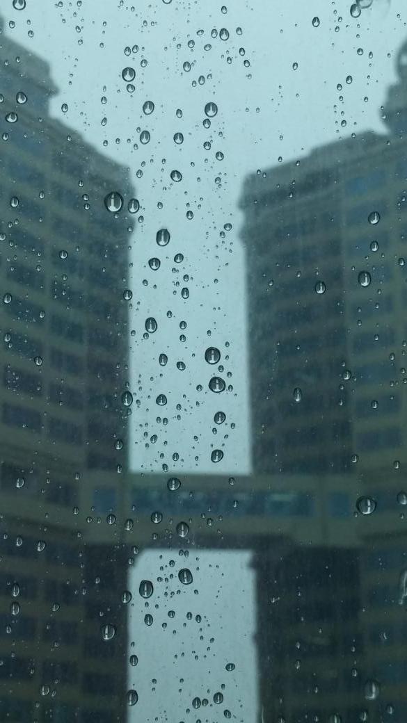 앞이 보이지 않을 정도로 비가 쏟아지네요
기분 넘 좋으다~~ㅎ