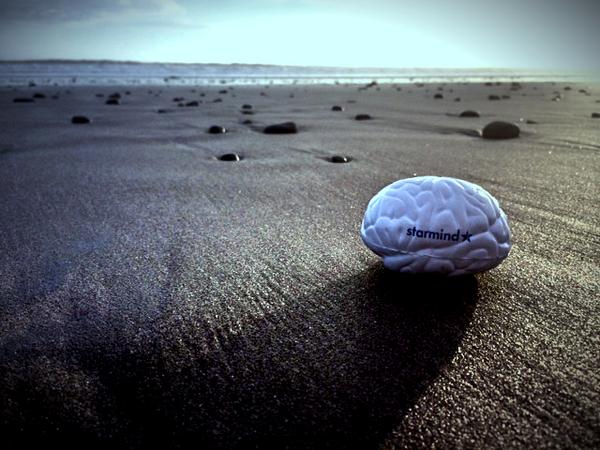 For the first time, a <a href="/Starmind/">Starmind</a> brain was discovered in #Bali...