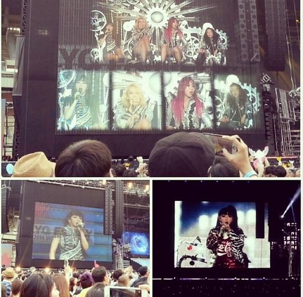 FOREVER BLACKJACK tweet media