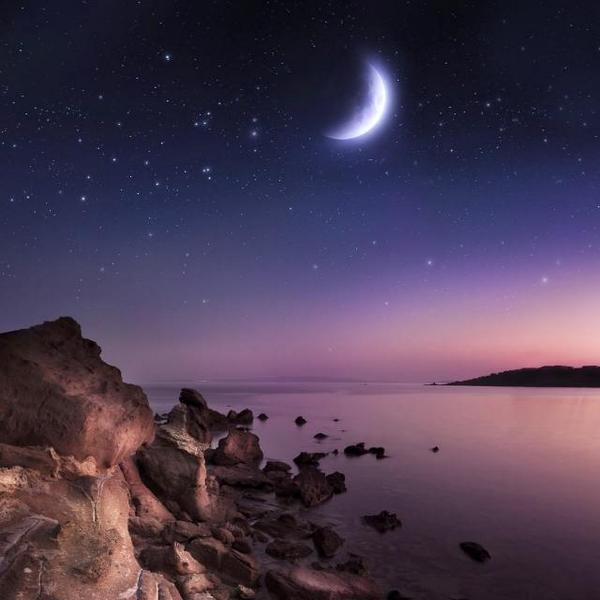 SAMBE2012's tweet image. Feliz Noche