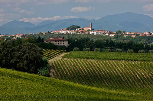 laVINIum's tweet photo. #simposi La verifica: Barbaresco Vürsù Vigneto Gallina 1996 - La Spinetta http://t.co/ZTioGTPrzY http://t.co/kz3RkulrHk