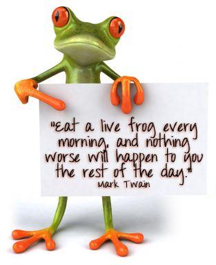 Scout (@scoutgroep) on Twitter photo 