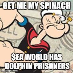 seaworldisevil's tweet photo. #freedom4tilikum #closeseaworld #savemisty #dolphinproject #helpbucky #notomarineland #popeyewillavenge http://t.co/Ry4rpKqfO7