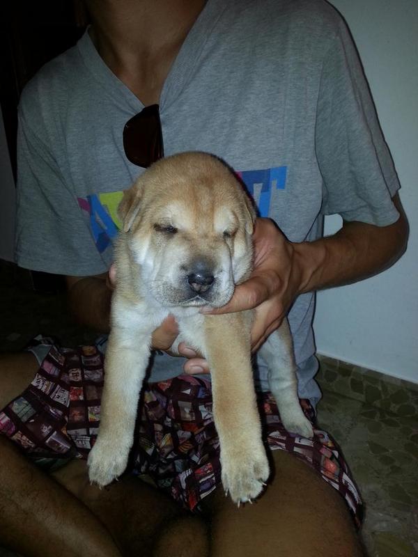 RainieroCazorla's tweet photo. aki sta LETRA, casi con un mes, dentro de poco para casita http://t.co/rUxYF4T6y0