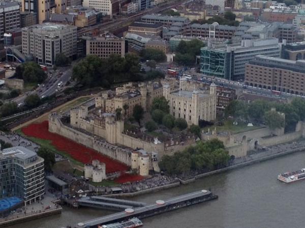 See how much the #TowerPoppies have grown in this photo taken at the top of the Shard #WW1