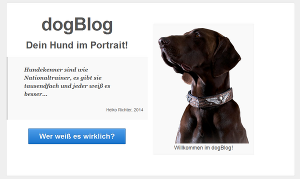 Nach gefühlten 10 Jahren: Wir arbeiten derzeit an einem neuen Projekt für Hundehalter #go2dogblog