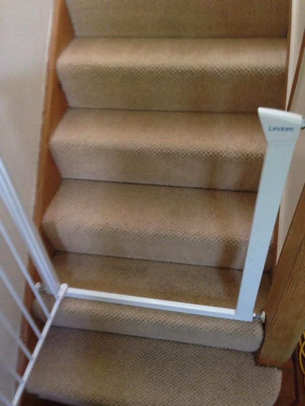 AjLynchservices's tweet photo. More lucky customers to have carpets cleaned by@AjLynchservices http://t.co/4dRuxq5PkA