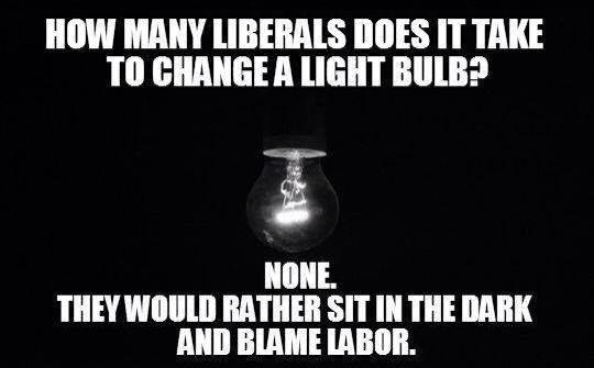 Comrade on Twitter: "How many Liberals does it take to change a light