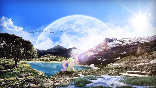 Church_Games's tweet image. Wow! Fluttershy makes a beautiful scene that must more elegant. #Brony #MLP #FlutterOn