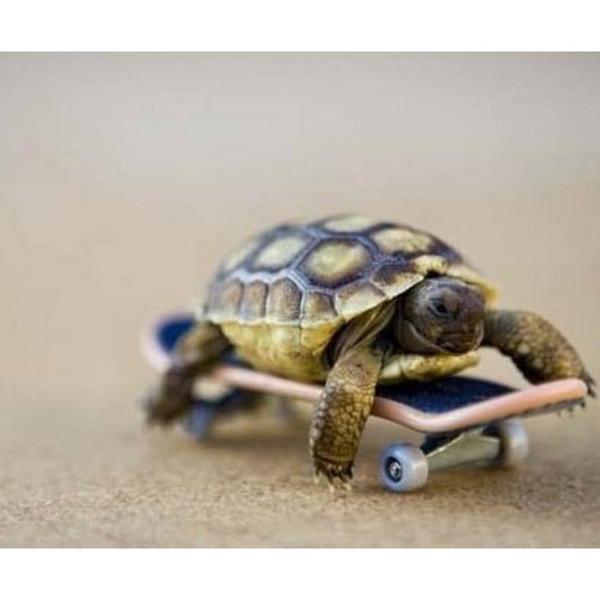 TheHuckerOnline's tweet image. Monday.. #bmx #moto #mtb #skate #wake