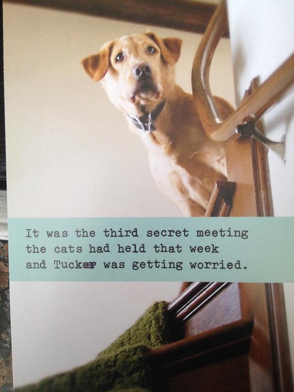 TuckProblems's tweet image. so @djciar02 got a card from @RickOrTweet and and it has my face on it. I can&apos;t read it but he thinks it&apos;s cute.