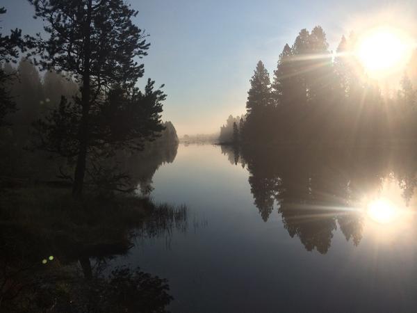 ajamesmcentee's tweet photo. Morning folks #descutes http://t.co/MOFw6XQaeQ