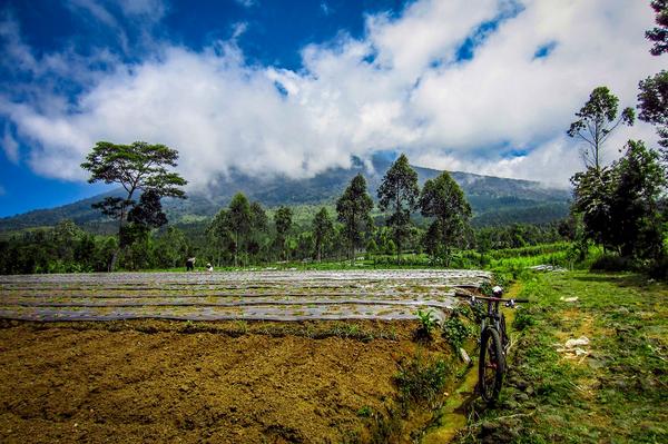 eight bolt tweet media