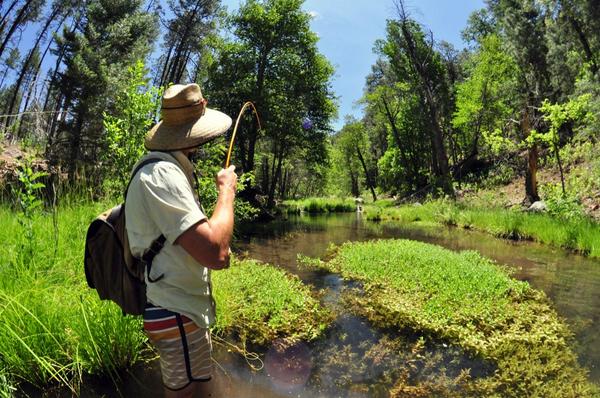 Finding some small creek trout. #butterstick #glassisnotdead #redingtonreleased