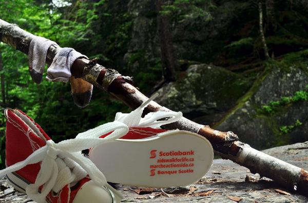 AIDS Committe of Durham Region tweet media