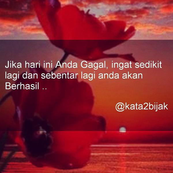 Bijak Network tweet media