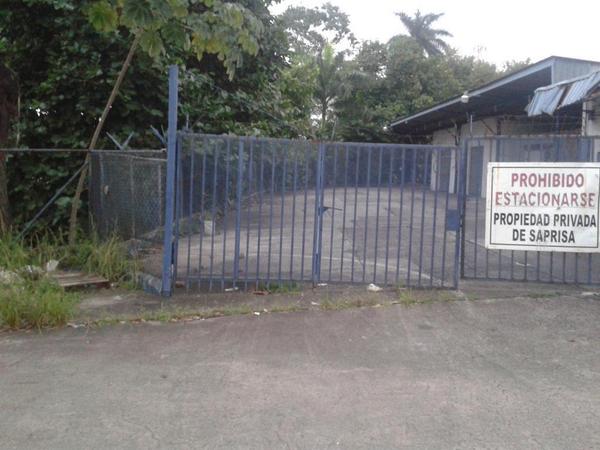 yocreoenpanama's tweet photo. Caimán en aguas del río curundu zona detrás de la clínica santa fe anexo fotos de su posible estanque @BlandonJose http://t.co/mkpsSDWLAn