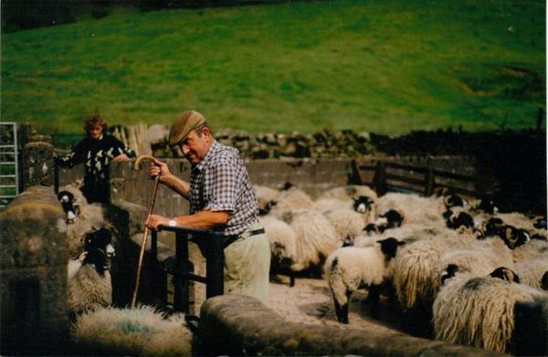 Marlene Sharpe tweet media