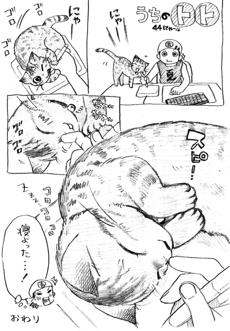 ねこまんが。第44話。ギャグ漫画家さんのつてでお笑い芸人2700さんのワンマンライブを観に行きました。肘の人としか知らなかったのですがとても面白く好きになりました。八十島さんの歌とツネさんの機敏な動きが元気をくれる力強いライブでした! 