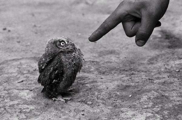 BemalteSteine (@bemaltesteine) on Twitter photo 