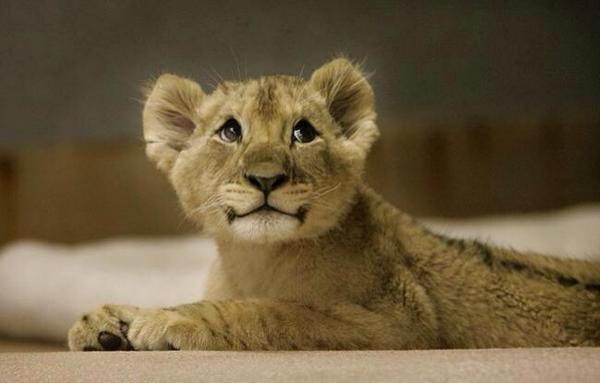 Elverojaguar's tweet photo. http://t.co/oCH4bOvMDc