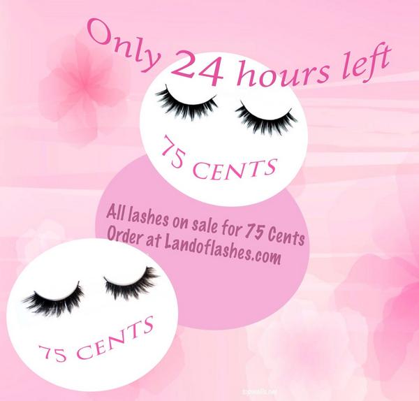 LandOfLashes's tweet photo. Uh oh beauties the sale is coming to an end in 24 hours! http://t.co/YmfRCiIery