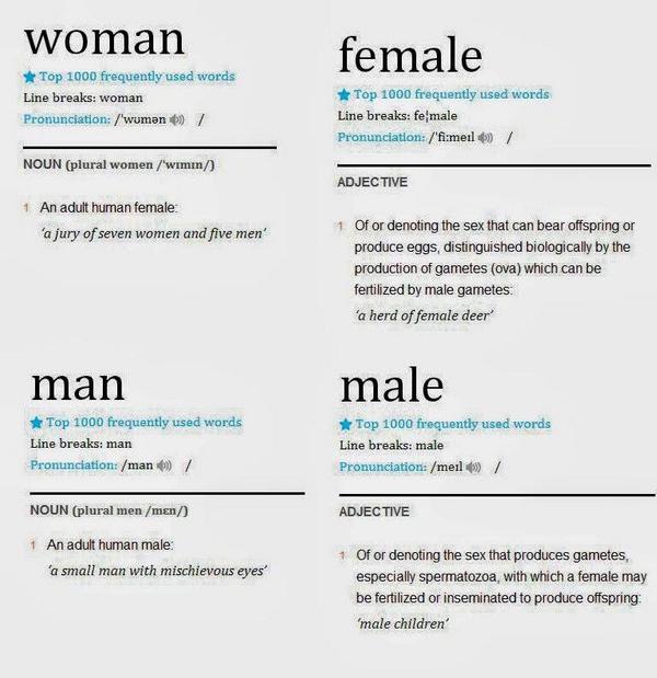 RetzielC's tweet photo. Reality=form of #cisprivilege. Women arent privileged for being female, "cis" in your parlance #TERFweek @Marti3861 http://t.co/3KJUwmkUB6