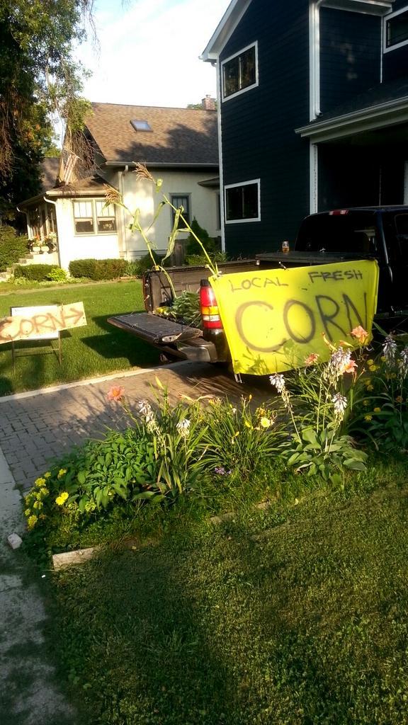 Screw free candy this dude has got it figured out