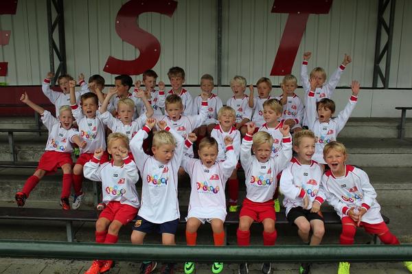 Bron: De Foresters
