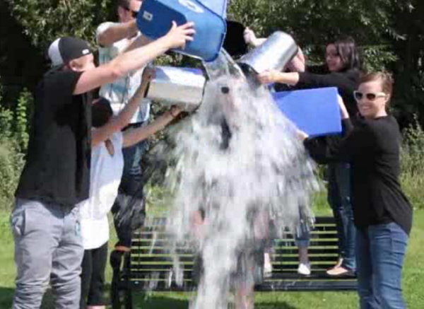 Not one bucket, or two buckets, but six of them! :O <a href="/polofield/">Polo Field</a>