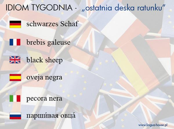 linguahouse's tweet photo. Idiom tygodnia w 6 językach - "czarna owca" http://t.co/7F02rUhN6J