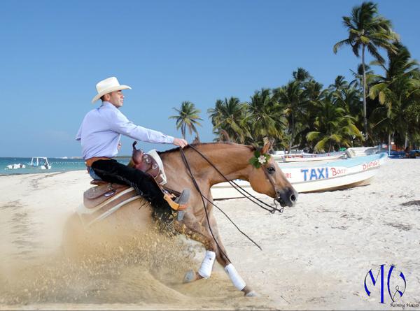 MWReiningHorses tweet picture