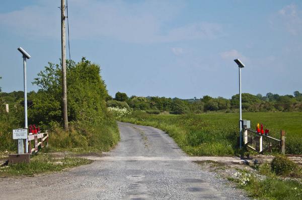 cycleire's tweet photo. Crossing a bog railway on the way to Clonmacnoise #CycleIrelandApp #Athlone http://t.co/HwDqXaGebA http://t.co/BapRrgk0Uk