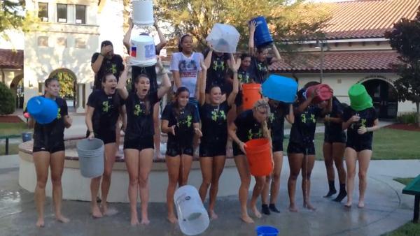 laurenmcm4's tweet image. #alschallenge love my team 🍀💛