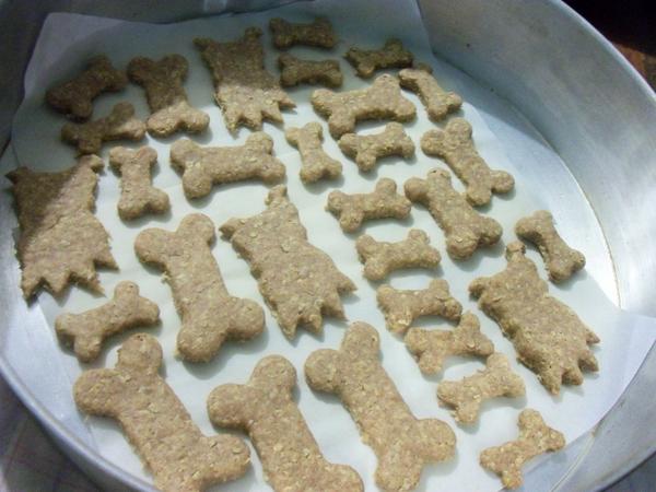 AnimaleSinHogar's tweet photo. Galletas Caseras Para nuestros Peludos
Interesados todosporlosanimalessinhogar@hotmail.com estamos en CCS http://t.co/BIfWgTdxIG