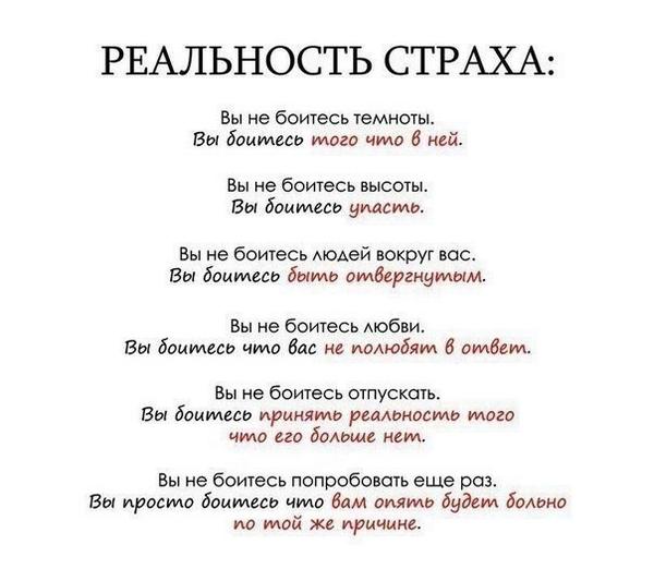 Вот она реальность страха!