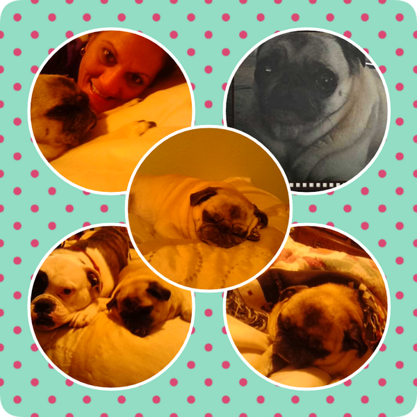 ToniamDefazio's tweet photo. http://t.co/btprNwfoU2