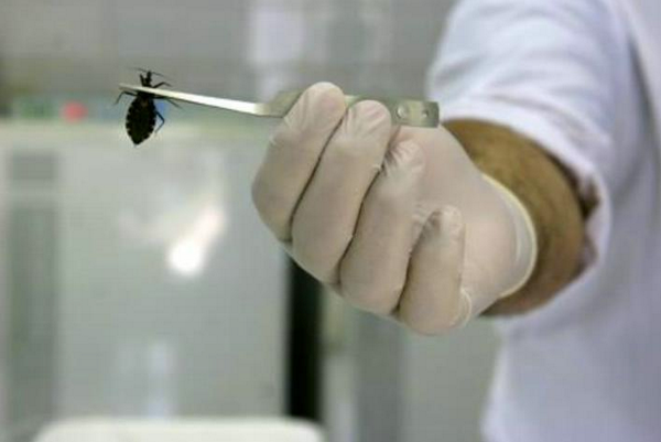 fumigacion's tweet photo. RT @NoticiasMVS: Desarrolla UNAM bioinsecticida para combatir parásito de enfermedad de Chagas http://t.co/CILHGf669y http://t.co/y03ztVjFS1